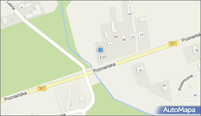 Niepruszewo, Poznańska, 5, mapa Niepruszewo