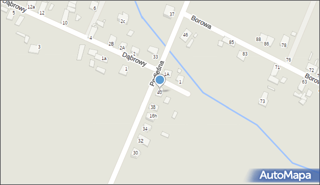 Opole, Podleśna, 40, mapa Opola