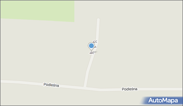 Pabianice, Podleśna, 44C, mapa Pabianic