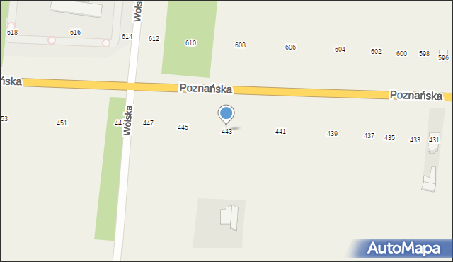 Płochocin, Poznańska, 443, mapa Płochocin