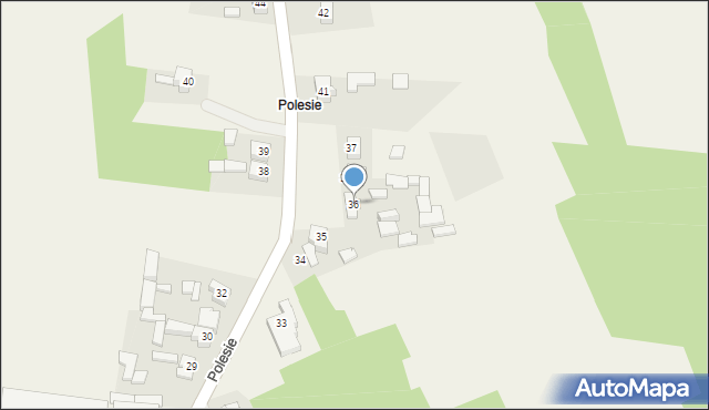 Polesie, Polesie, 36, mapa Polesie