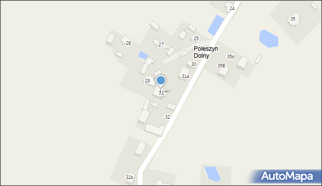 Poleszyn, Poleszyn, 31, mapa Poleszyn