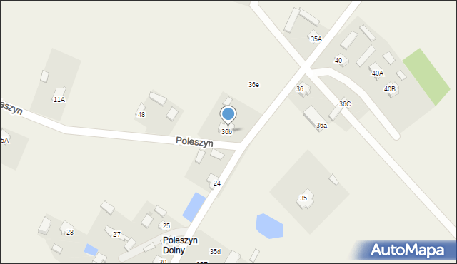 Poleszyn, Poleszyn, 49, mapa Poleszyn