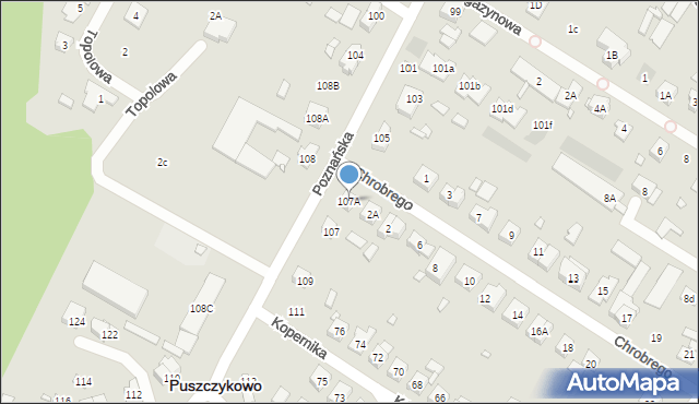 Puszczykowo, Poznańska, 107A, mapa Puszczykowo