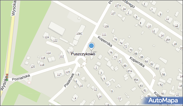 Puszczykowo, Poznańska, 113, mapa Puszczykowo