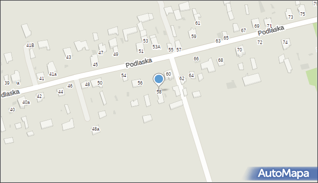 Radzyń Podlaski, Podlaska, 58, mapa Radzyń Podlaski