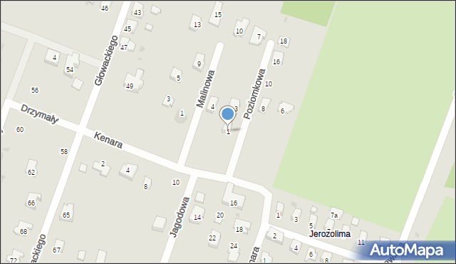 Sanok, Poziomkowa, 1, mapa Sanok