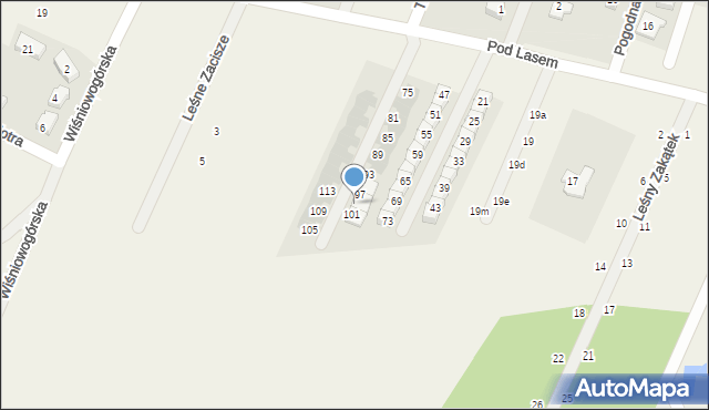 Wilkszyn, Pod Lasem, 99, mapa Wilkszyn