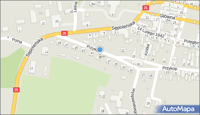 Kamień Krajeński, Przykop, 39, mapa Kamień Krajeński