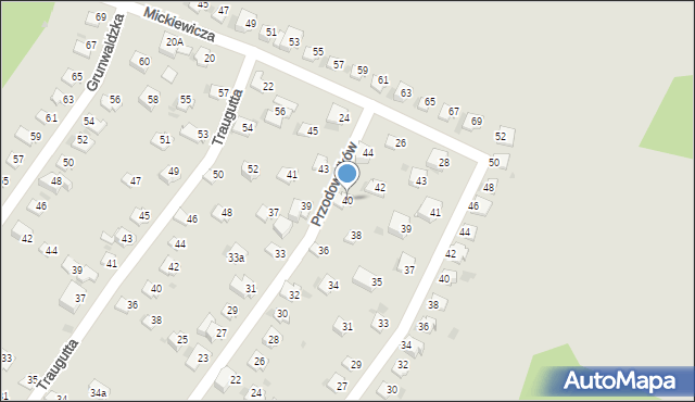 Lędziny, Przodowników, 40, mapa Lędziny