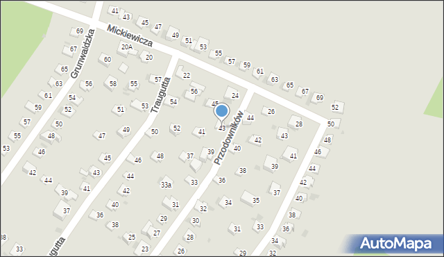 Lędziny, Przodowników, 43, mapa Lędziny