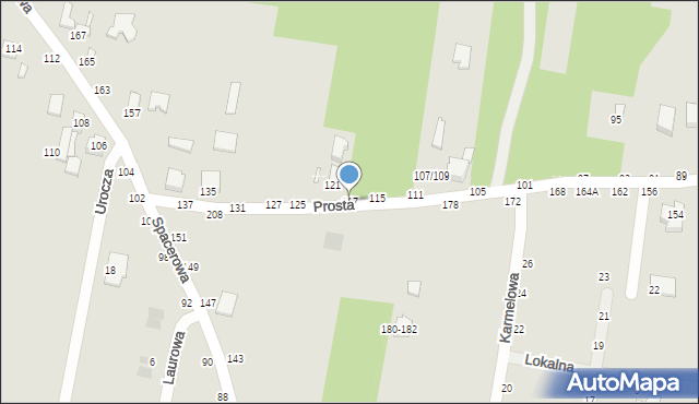 Piotrków Trybunalski, Prosta, 117, mapa Piotrków Trybunalski