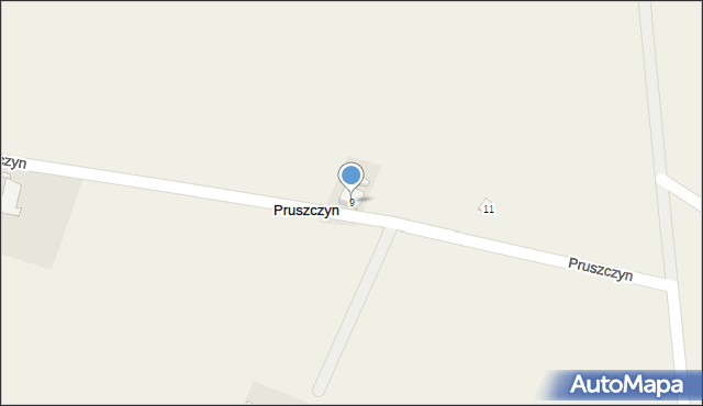 Pruszczyn, Pruszczyn, 9, mapa Pruszczyn