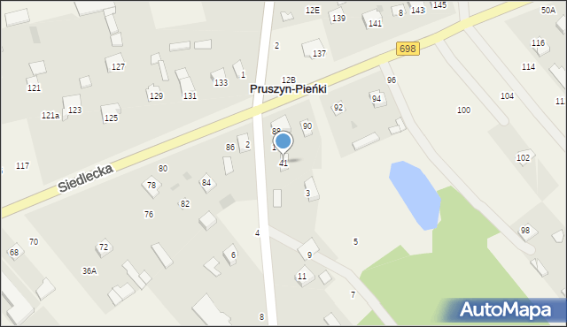 Pruszyn-Pieńki, Pruszyn-Pieńki, 41, mapa Pruszyn-Pieńki