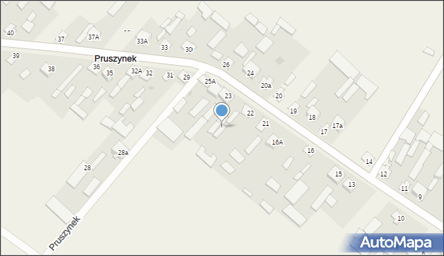 Pruszynek, Pruszynek, 22A, mapa Pruszynek