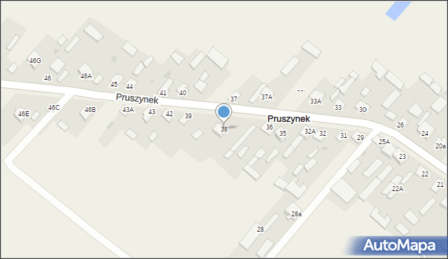 Pruszynek, Pruszynek, 38, mapa Pruszynek