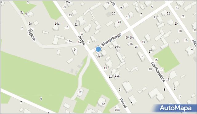Tuszyn, Prusa, 15, mapa Tuszyn