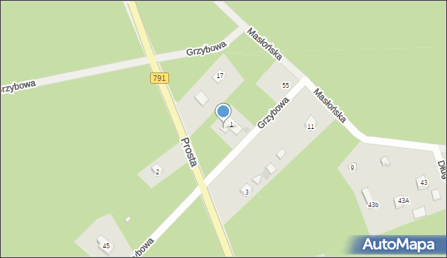 Żarki-Letnisko, Prosta, 1A, mapa Żarki-Letnisko