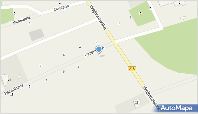 Dobrzewino, Pszeniczna, 1, mapa Dobrzewino