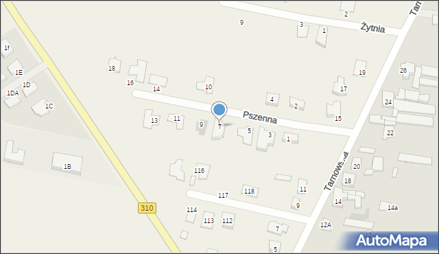 Piechanin, Pszenna, 7, mapa Piechanin