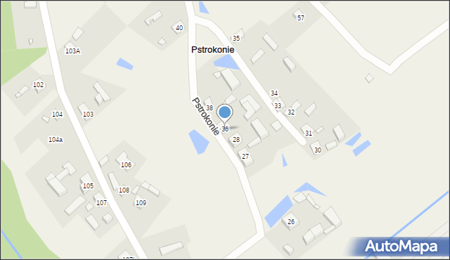 Pstrokonie, Pstrokonie, 36, mapa Pstrokonie