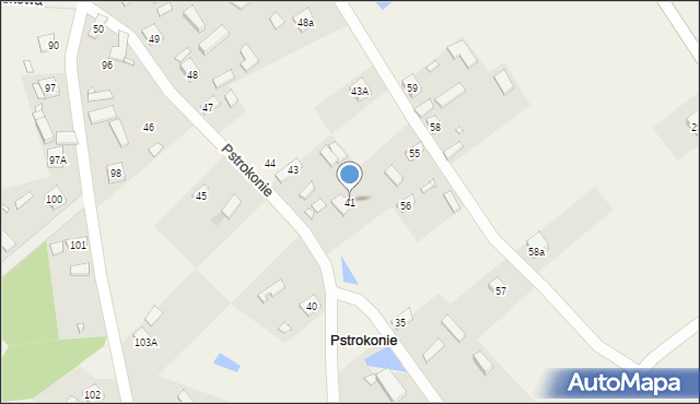 Pstrokonie, Pstrokonie, 41, mapa Pstrokonie