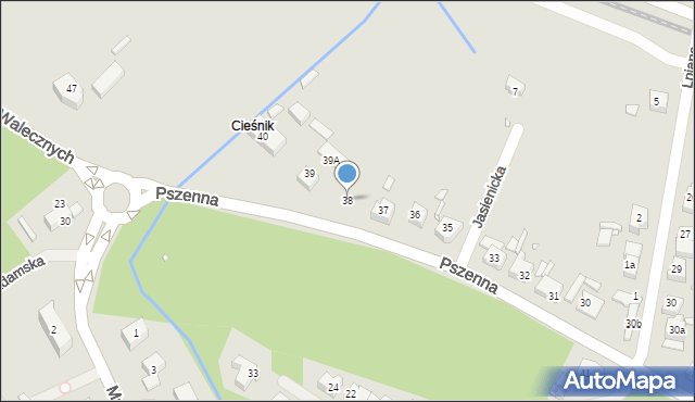 Szczecin, Pszenna, 38, mapa Szczecina