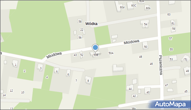 Wódka, Pszeniczna, 50B, mapa Wódka