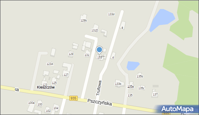 Żory, Pszczyńska, 133, mapa Żor