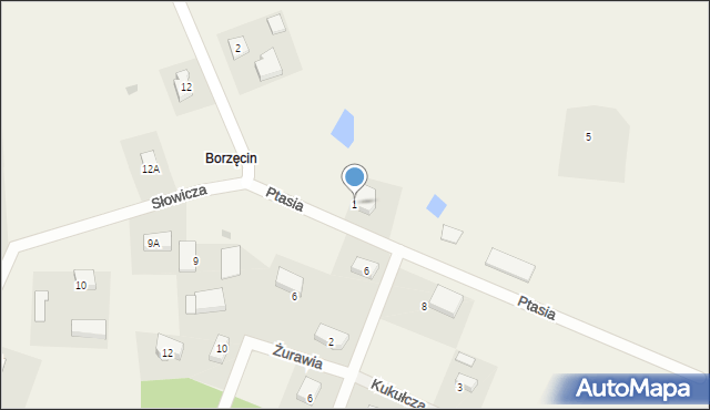 Borzęcin, Ptasia, 1, mapa Borzęcin