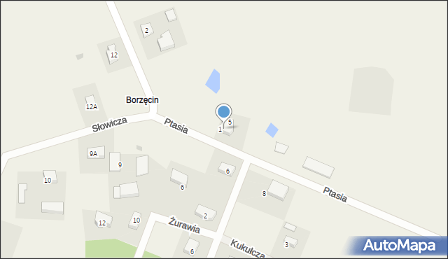 Borzęcin, Ptasia, 4, mapa Borzęcin