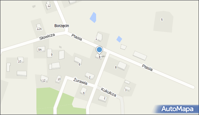 Borzęcin, Ptasia, 6, mapa Borzęcin