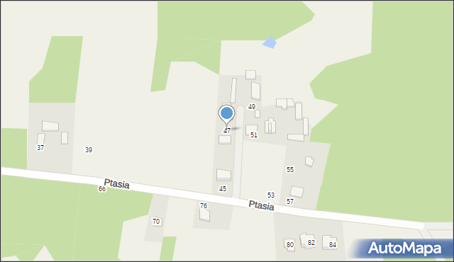 Budziska, Ptasia, 47, mapa Budziska