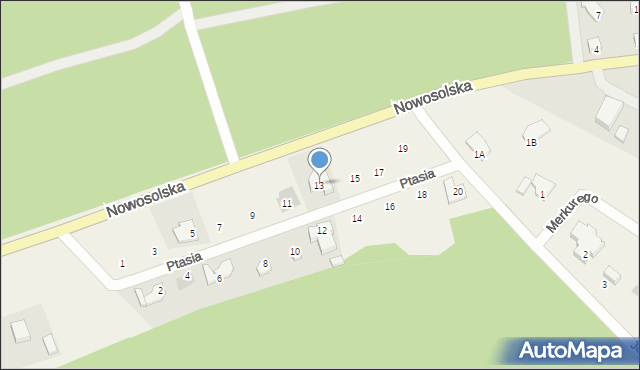 Radzyń, Ptasia, 13, mapa Radzyń