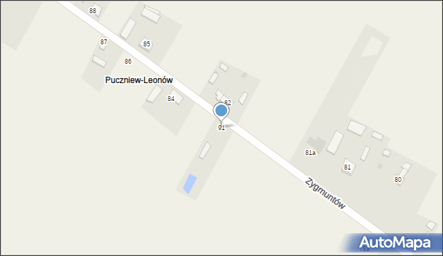 Puczniew, Puczniew-Leonów, 91, mapa Puczniew