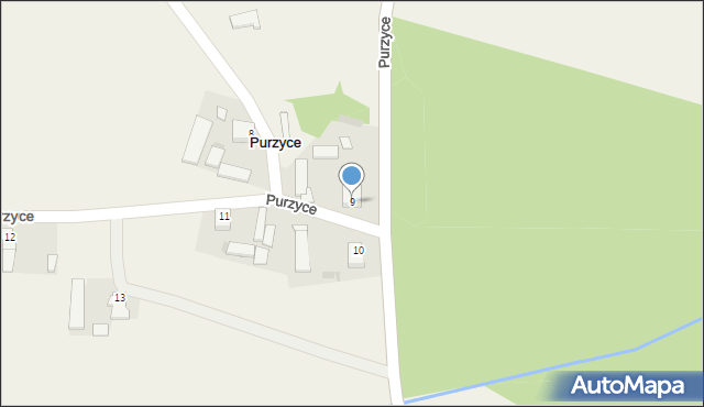 Purzyce, Purzyce, 9, mapa Purzyce