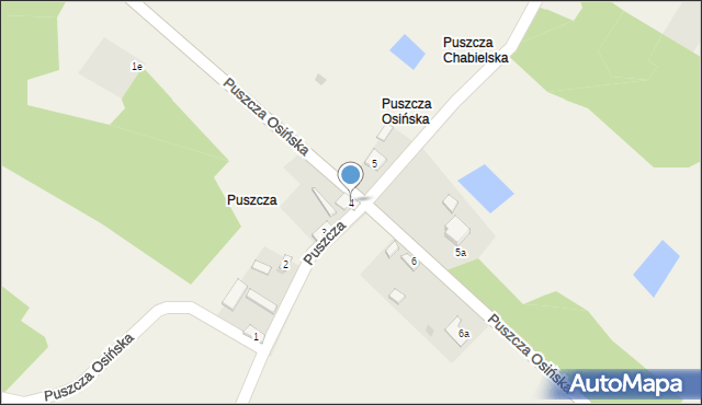 Puszcza, Puszcza, 4, mapa Puszcza