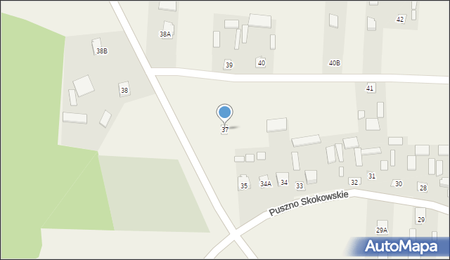 Puszno Skokowskie, Puszno Skokowskie, 37, mapa Puszno Skokowskie