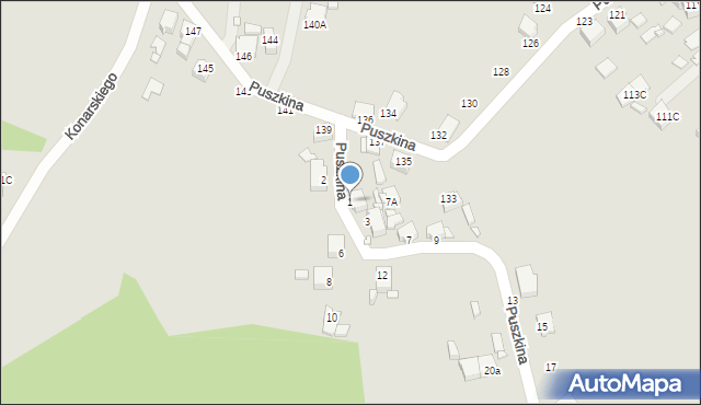 Rybnik, Puszkina Aleksandra, 1, mapa Rybnika