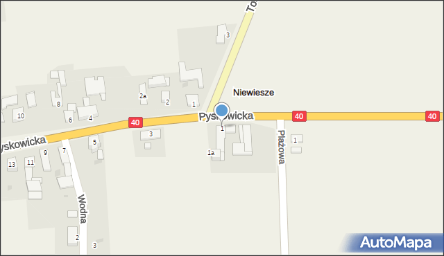 Niewiesze, Pyskowicka, 1, mapa Niewiesze