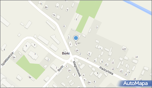 Borki, Radzyńska, 1, mapa Borki