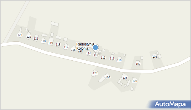 Radostynia, Radostynia, 113, mapa Radostynia