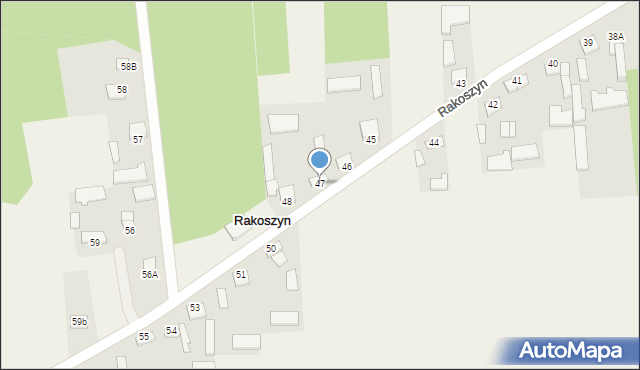 Rakoszyn, Rakoszyn, 47, mapa Rakoszyn