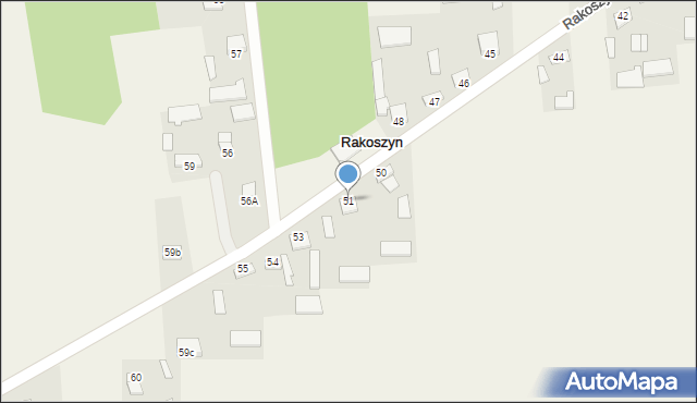 Rakoszyn, Rakoszyn, 51, mapa Rakoszyn