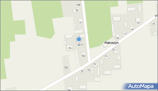 Rakoszyn, Rakoszyn, 56, mapa Rakoszyn