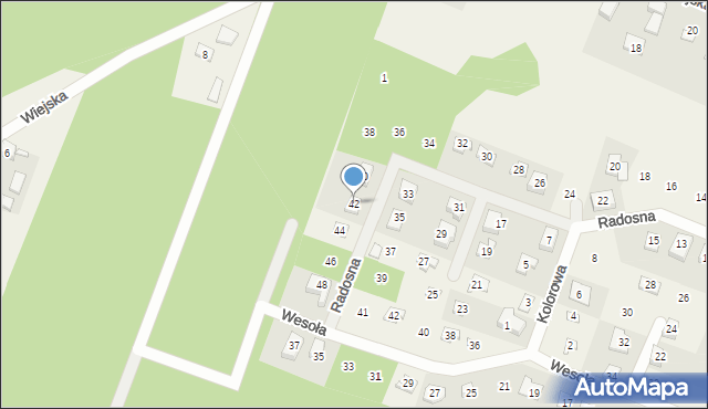 Stęszewko, Radosna, 42, mapa Stęszewko