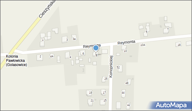 Golasowice, Reymonta Władysława, 8, mapa Golasowice