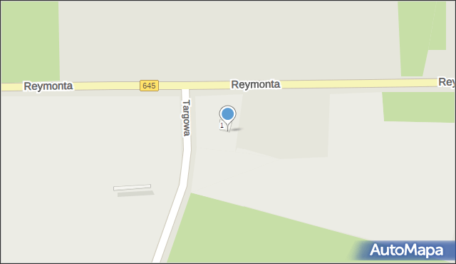 Myszyniec, Reymonta Władysława, 1, mapa Myszyniec