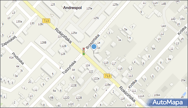 Andrespol, Rokicińska, 123, mapa Andrespol