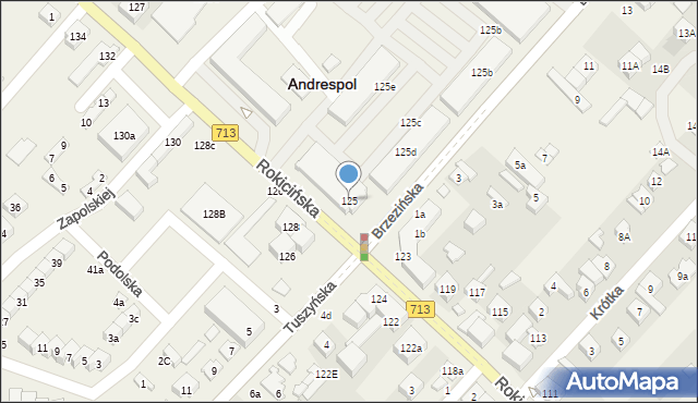 Andrespol, Rokicińska, 125, mapa Andrespol